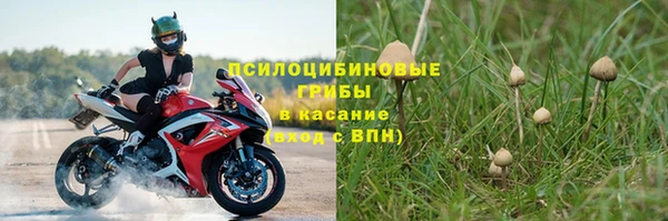 экстази Богданович